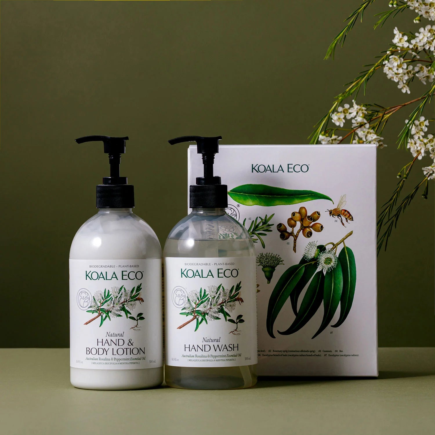 Terra Botanica (Hand Wash and Lotion Pack)